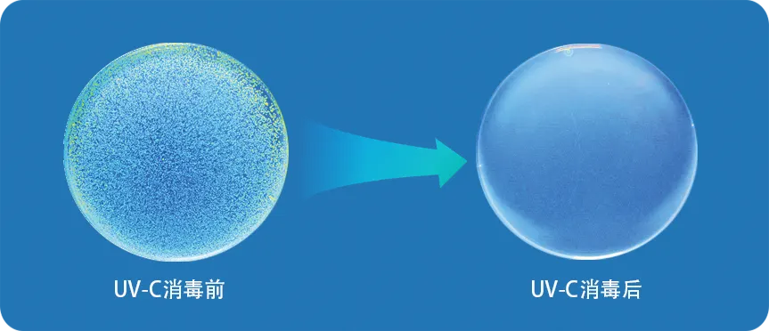 UV-C 消毒前后对比照