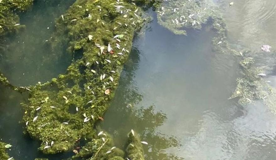 熱點切入 + 技术融合：守护“看不见的危险水”