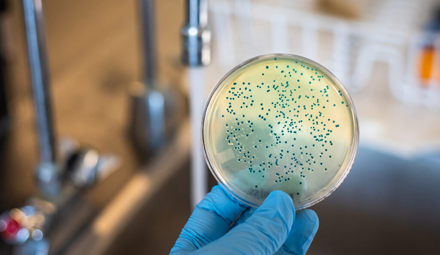 当“看起来干净”的水未必真正安全: Innest推进超大流量UVC-LED水杀菌技术研发